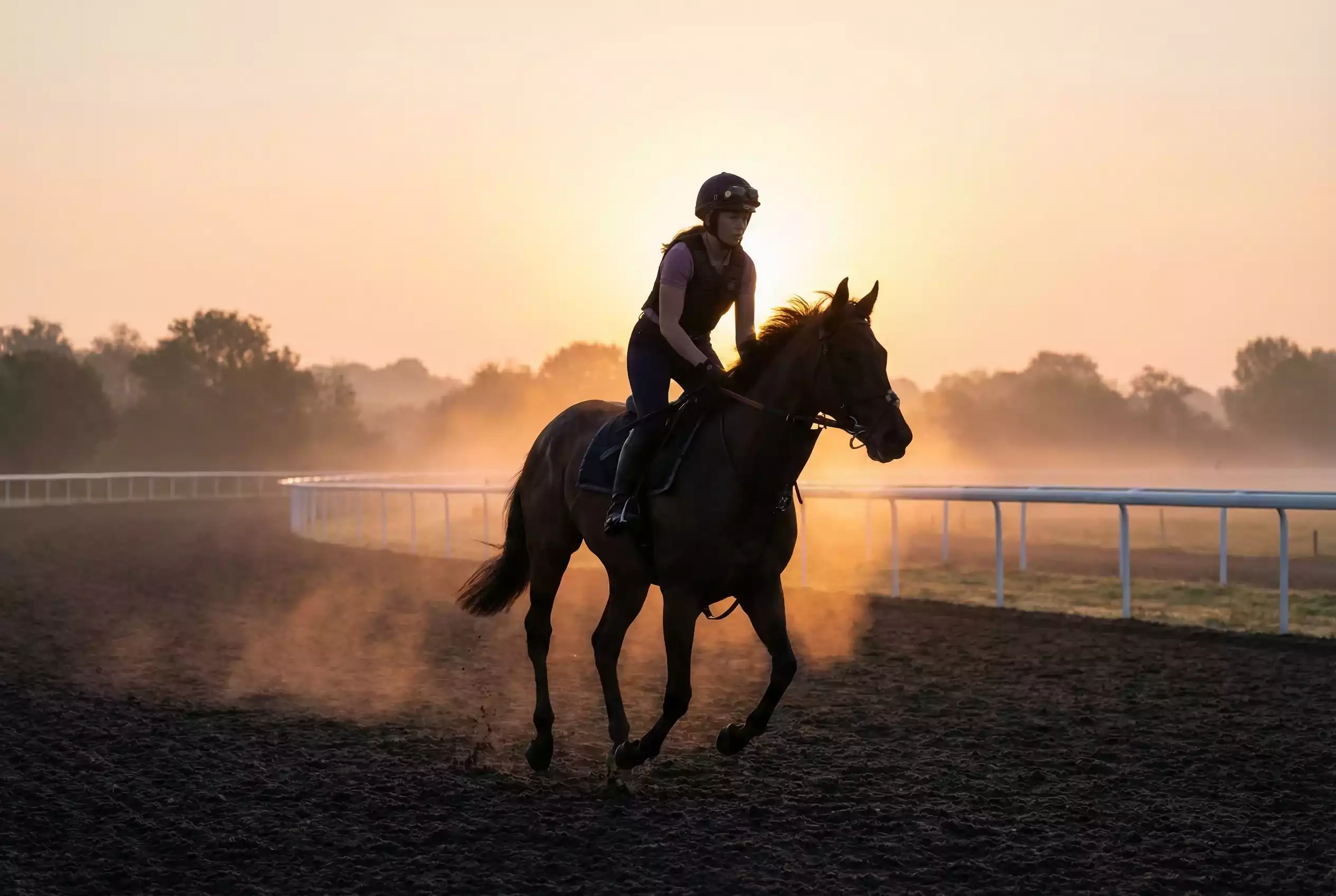 Female jockey riding a racehorse during an early morning workout on an all-weather track
