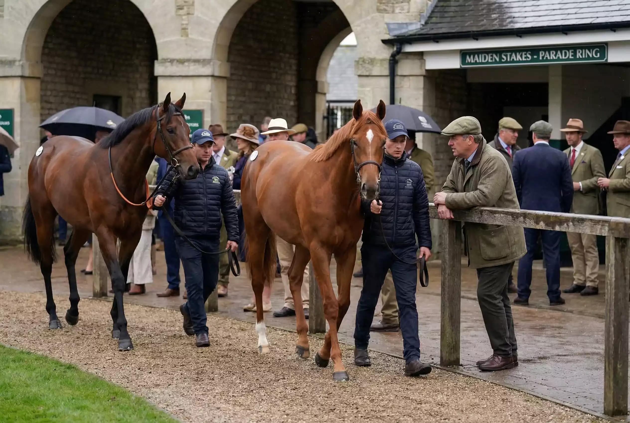 Young racehorses being assessed in the Southwell parade ring before a maiden race