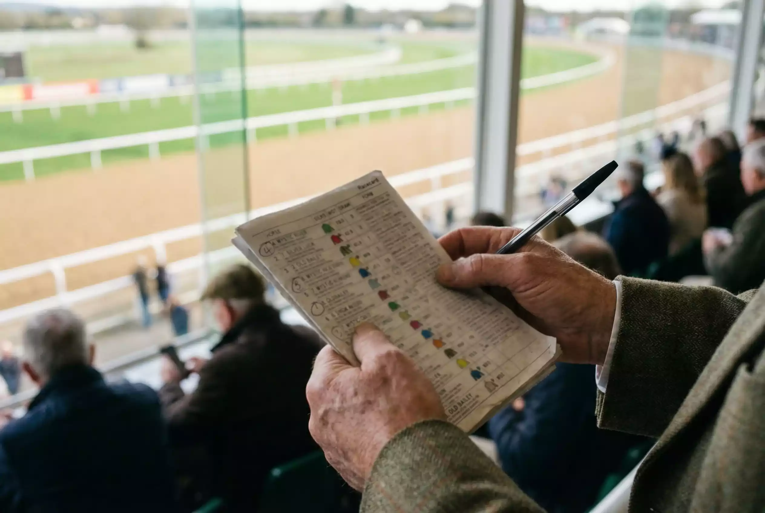Racegoer studying a printed result card at Southwell Racecourse with finishing orders and starting prices