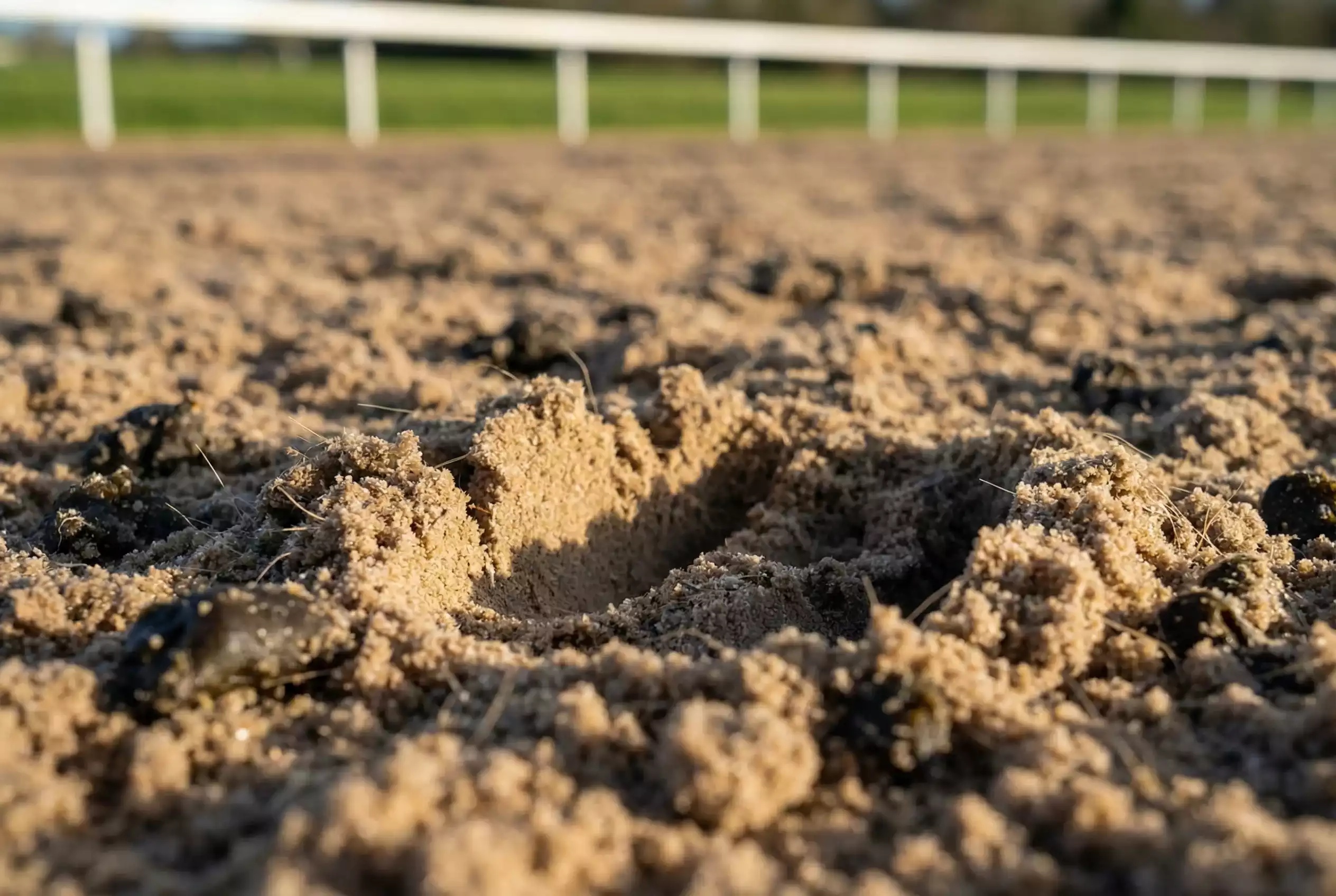 Close-up of an all-weather synthetic racing surface with a horse hoof impression in the Tapeta material
