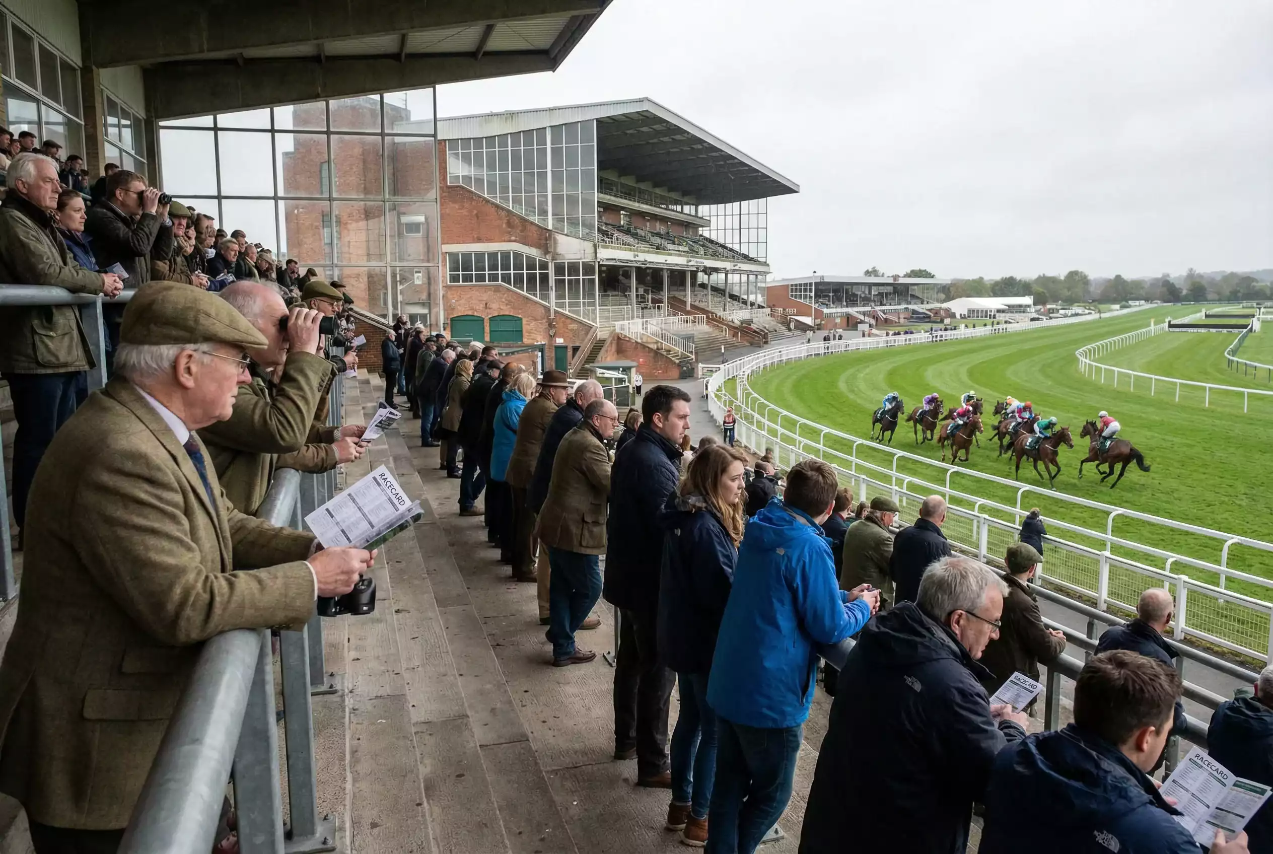 Crowd of racegoers watching from the grandstand at a British racecourse on a busy day